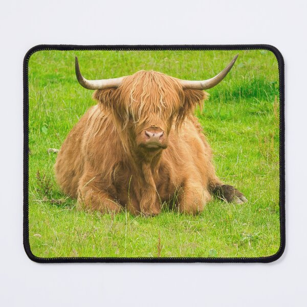 Item preview, highland Cow designed and sold by TheoPhotoraphy.