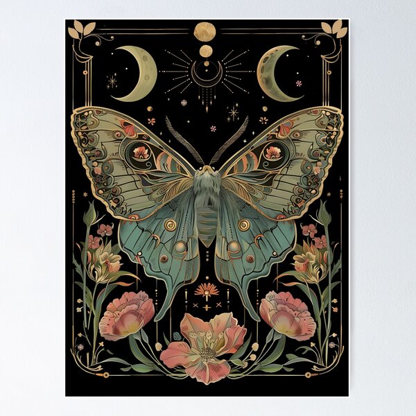 Chinese Luna Moth Posters for Sale | Redbubble