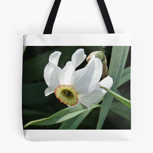 Item preview, WILDLY WILLING TO FACE THE SUN designed and sold by Marilyn Grimble.