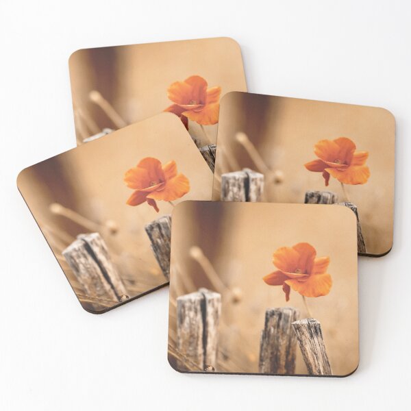 Item preview, A poppy on the wooden fence designed and sold by Beabue.
