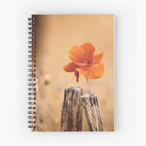 Item preview, A poppy on the wooden fence designed and sold by Beabue.