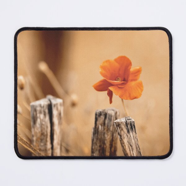 Item preview, A poppy on the wooden fence designed and sold by Beabue.