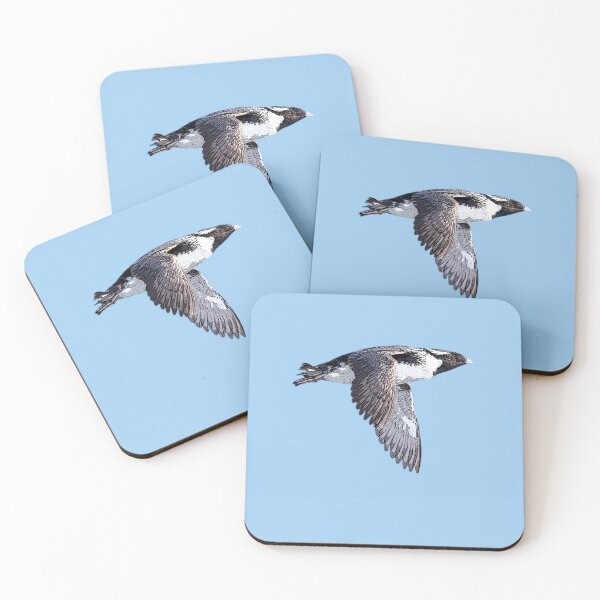 Item preview, Ancient Murrelet Color Design  designed and sold by designsasstultd.