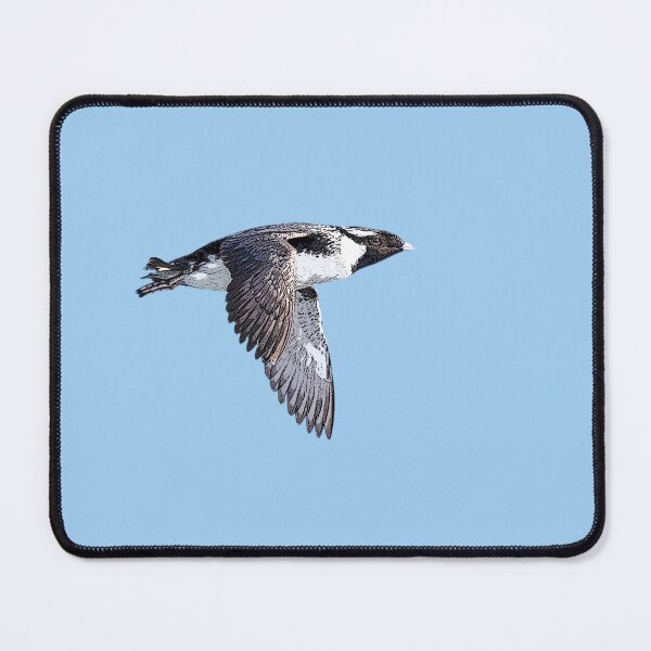 Item preview, Ancient Murrelet Color Design designed and sold by designsasstultd.