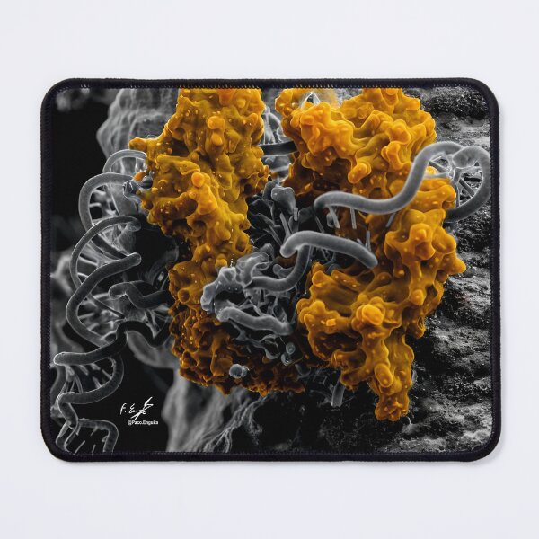 Item preview, Cas9 designed and sold by Francisco J. Enguita.