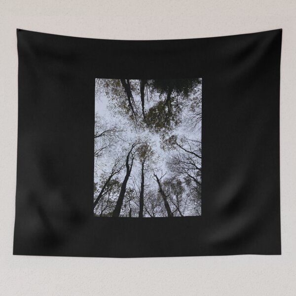 Item preview, Trees forest reflection  designed and sold by junebugamch.