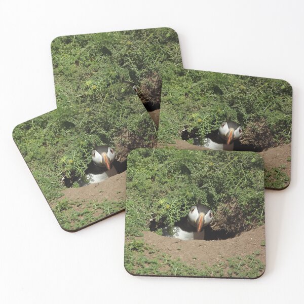 Item preview,  Funny Puffin designed and sold by earthprints.