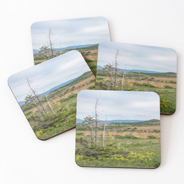 Item preview, Ragged Bush Along Tablelands Hike, Gros Morne designed and sold by jrtwynam.