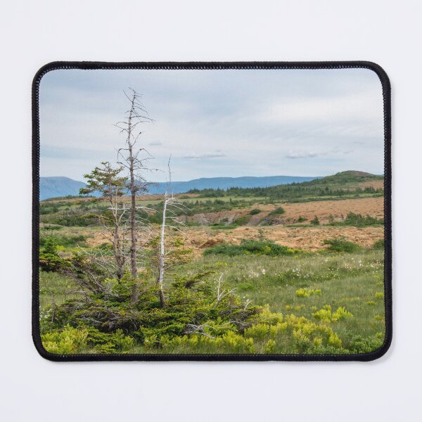 Item preview, Ragged Bush Along Tablelands Hike, Gros Morne designed and sold by jrtwynam.
