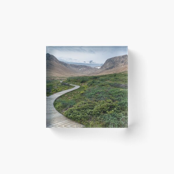 Artikelvorschau, Promenade entlang des Tablelands Trail, Gros Morne entworfen und verkauft von jrtwynam.