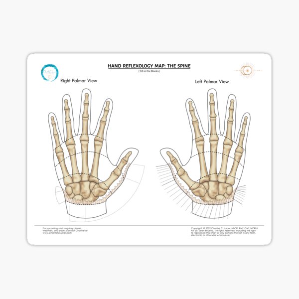 Item preview, Hand Reflexology Map: The Spine (fill in the blanks) designed and sold by ChantelCLucier.