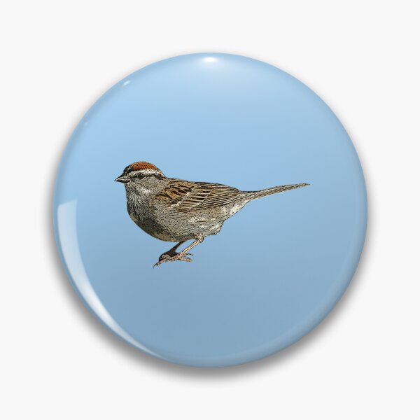Item preview, Chipping Sparrow Color Design  designed and sold by designsasstultd.