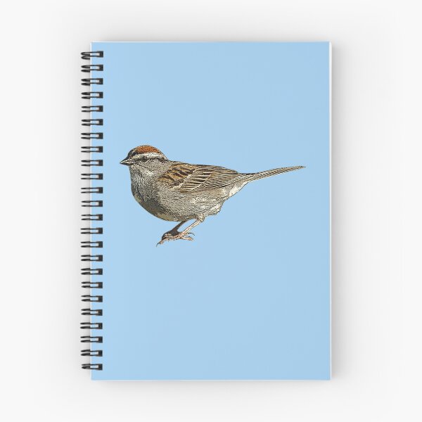 Item preview, Chipping Sparrow Color Design  designed and sold by designsasstultd.