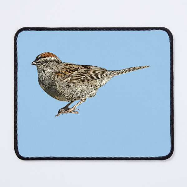 Item preview, Chipping Sparrow Color Design  designed and sold by designsasstultd.