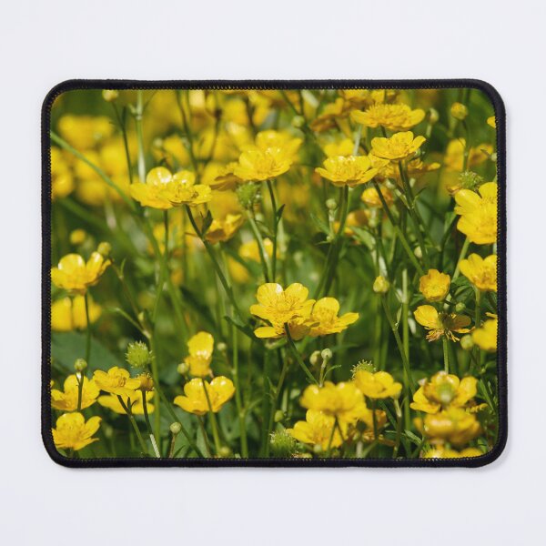 Item preview, Yellow fields. Meadow buttercup designed and sold by Jouko Lehto Photography.