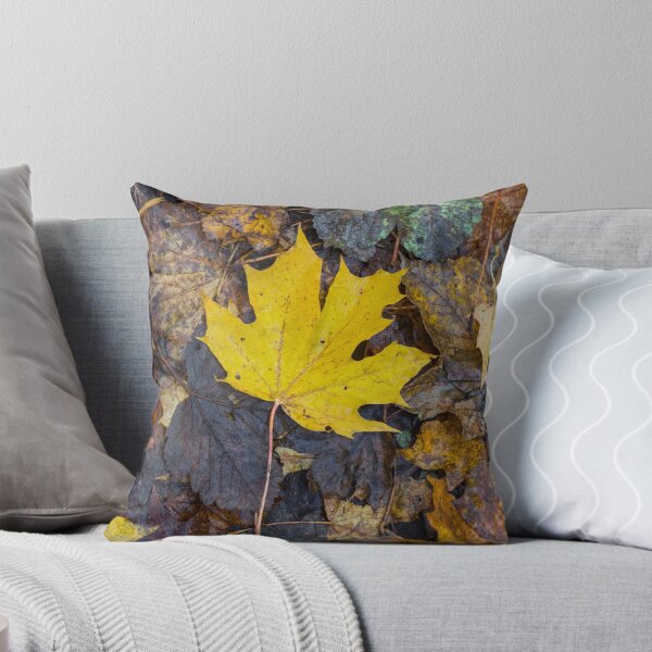 Item preview, Autumn falling leaves designed and sold by HaleyRedshaw.