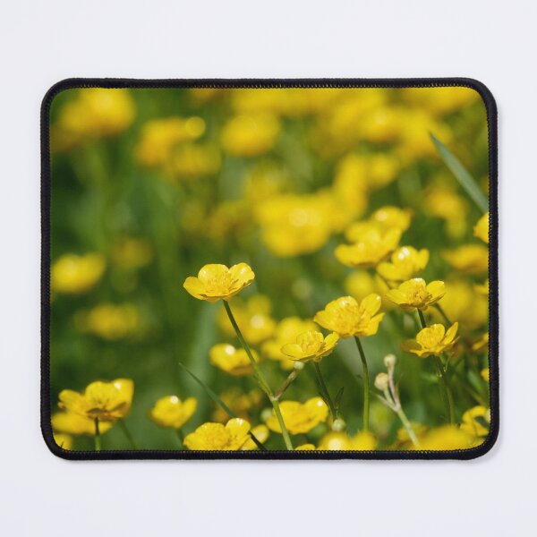 Item preview, Golden yellows. Meadow buttercup designed and sold by Jouko Lehto Photography.