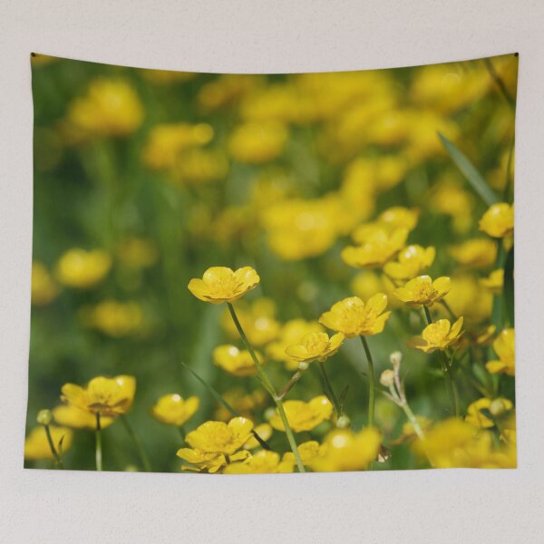 Item preview, Golden yellows. Meadow buttercup designed and sold by Jouko Lehto Photography.