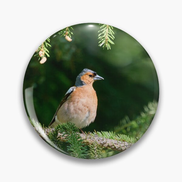 Item preview, Feel like the General. Eurasian chaffinch designed and sold by Jouko Lehto Photography.