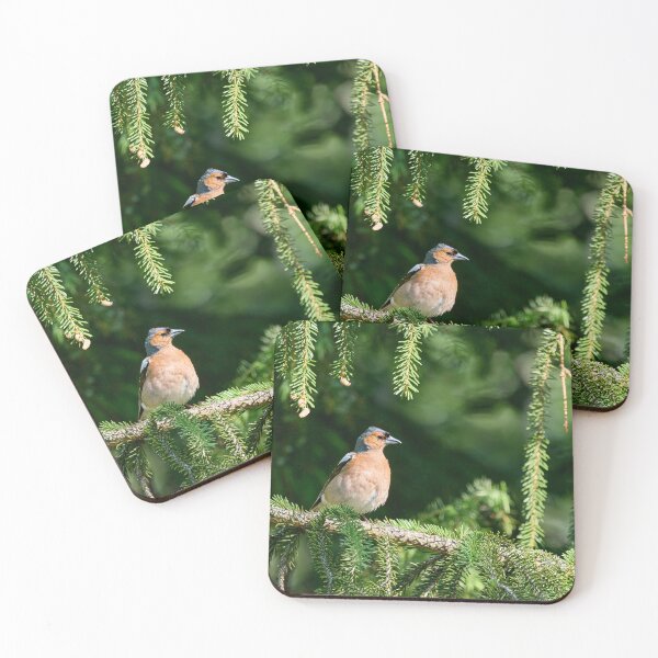 Item preview, Feel like the General. Eurasian chaffinch designed and sold by Jouko Lehto Photography.