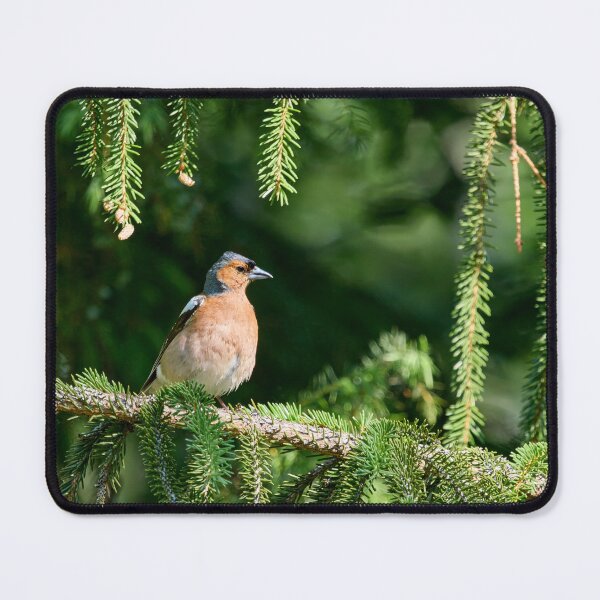 Item preview, Feel like the General. Eurasian chaffinch designed and sold by Jouko Lehto Photography.