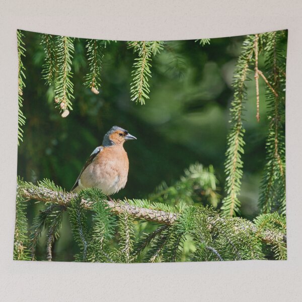 Item preview, Feel like the General. Eurasian chaffinch designed and sold by Jouko Lehto Photography.