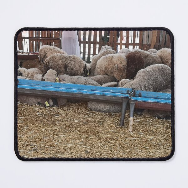 Item preview, sardi sheep designed and sold by molly-burke.