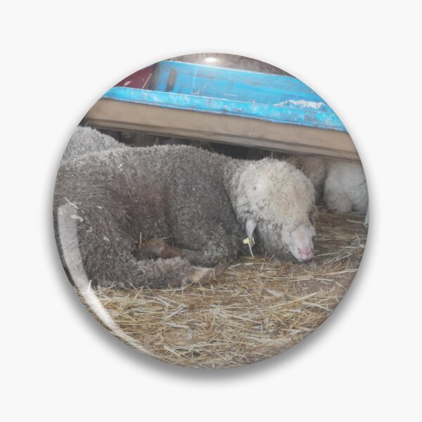 Item preview, sardi sheep designed and sold by molly-burke.