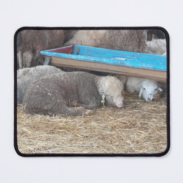 Item preview, sardi sheep designed and sold by molly-burke.