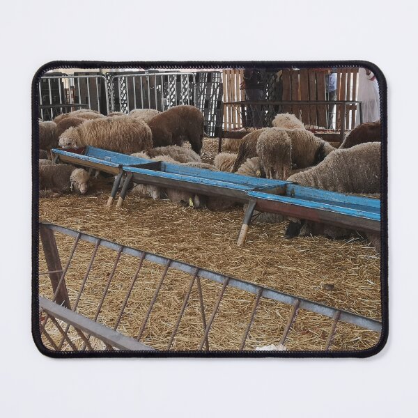 Item preview, sardi sheep designed and sold by molly-burke.