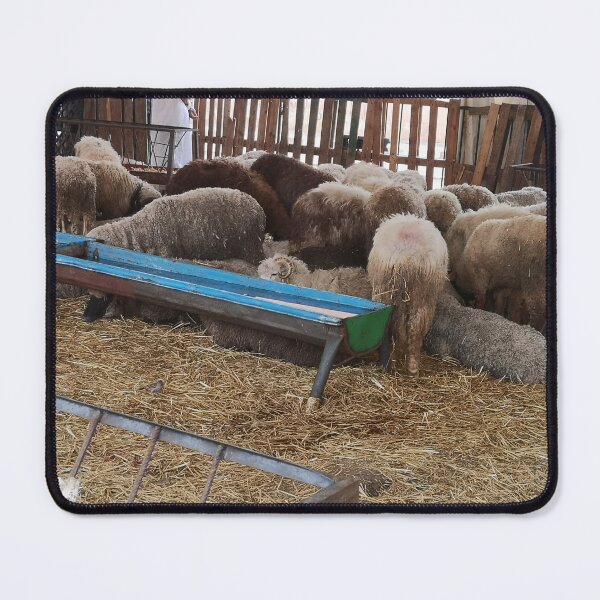 Item preview, sardi sheep designed and sold by molly-burke.