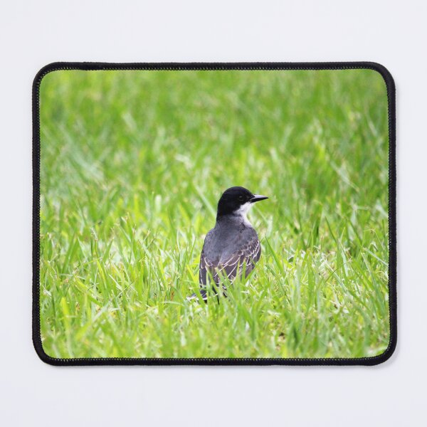 Item preview, Attractive Little Bird designed and sold by Cynthia48.