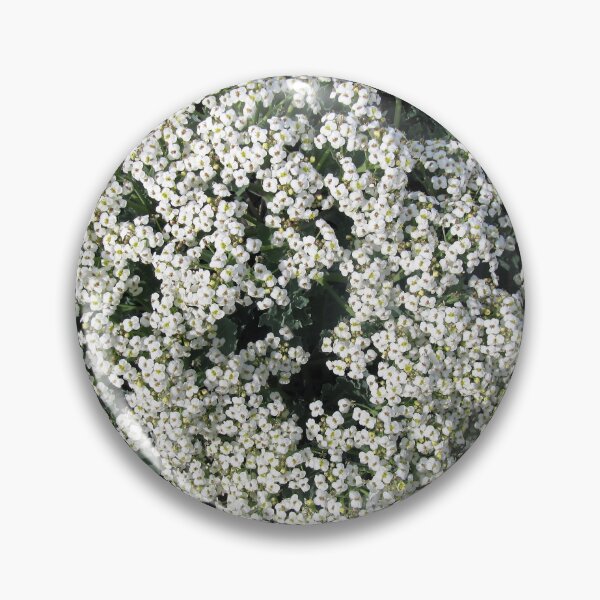 Item preview, Sea kale designed and sold by ART22.