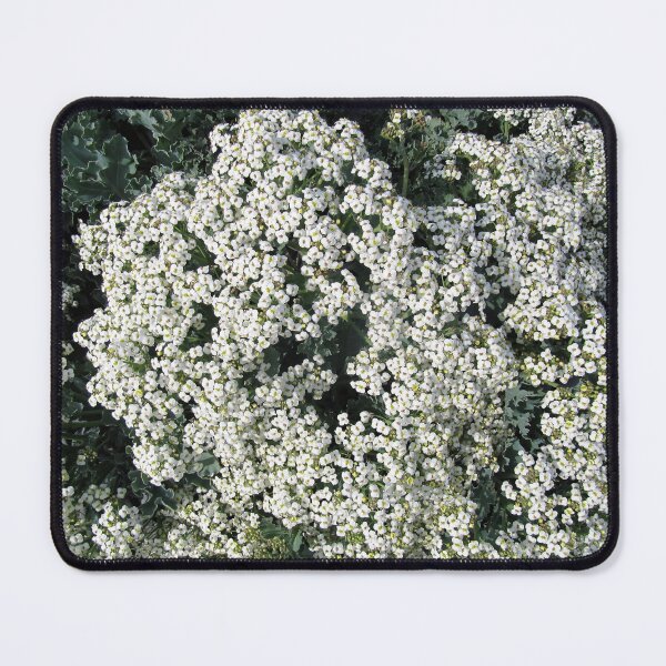 Item preview, Sea kale designed and sold by ART22.