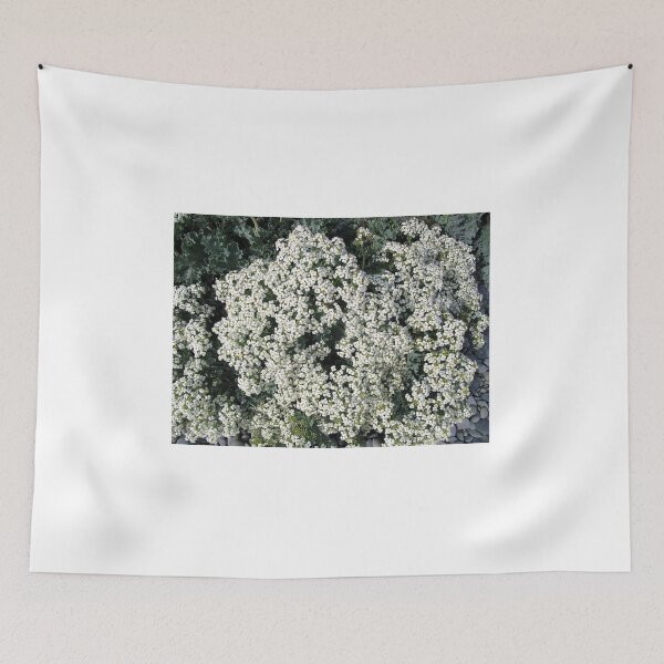 Item preview, Sea kale designed and sold by ART22.