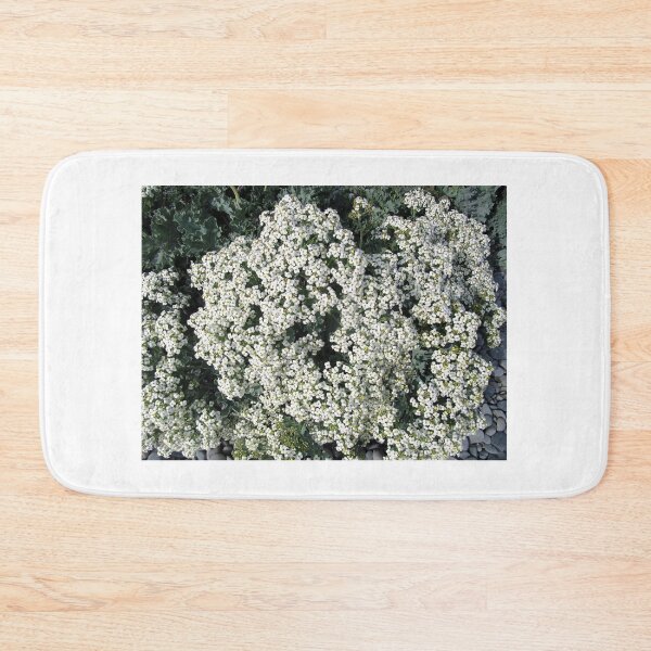 Item preview, Sea kale designed and sold by ART22.