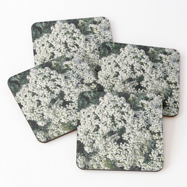 Item preview, Sea kale designed and sold by ART22.