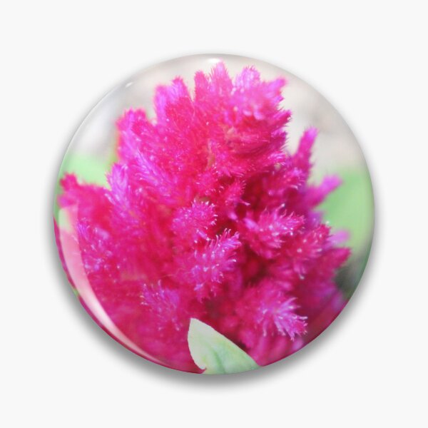 Item preview, Red Celosia designed and sold by PresMatPlays.