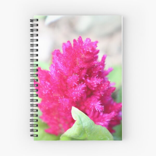 Item preview, Red Celosia designed and sold by PresMatPlays.