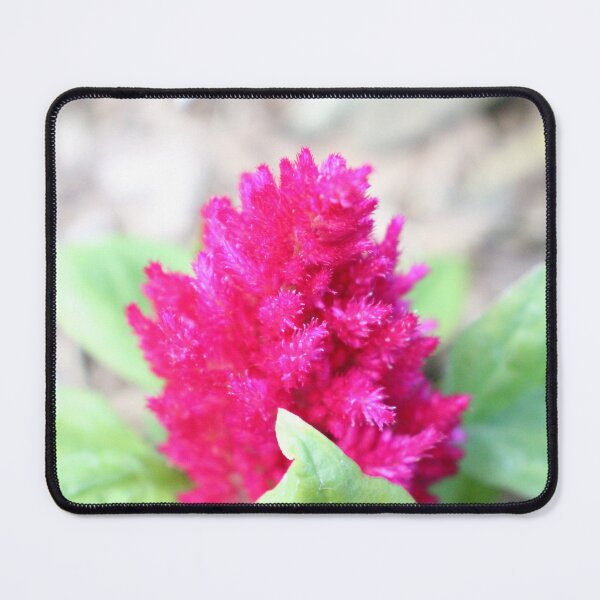 Item preview, Red Celosia designed and sold by PresMatPlays.