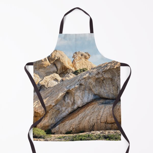 Aperçu de l'œuvre Camel Rock au Pla de Tudela, Cadaqués - Costa Brava, Catalogne, Espagne créée et vendue par Marc Garrido Clotet.