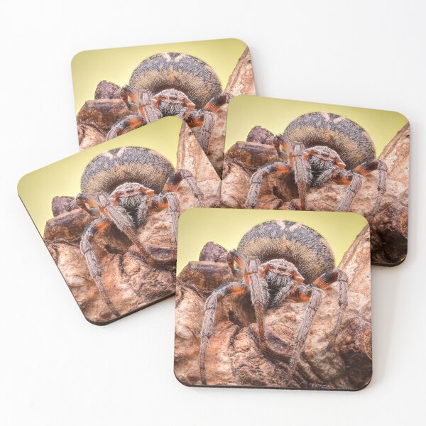 Item preview, Furrow spider (Larinioides cornutus) designed and sold by SharpSpoods.