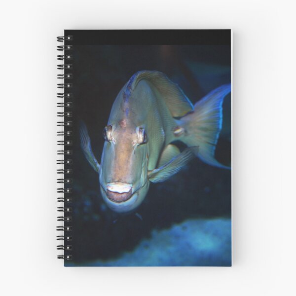 Item preview, Fish Face designed and sold by Savannah Gibbs.
