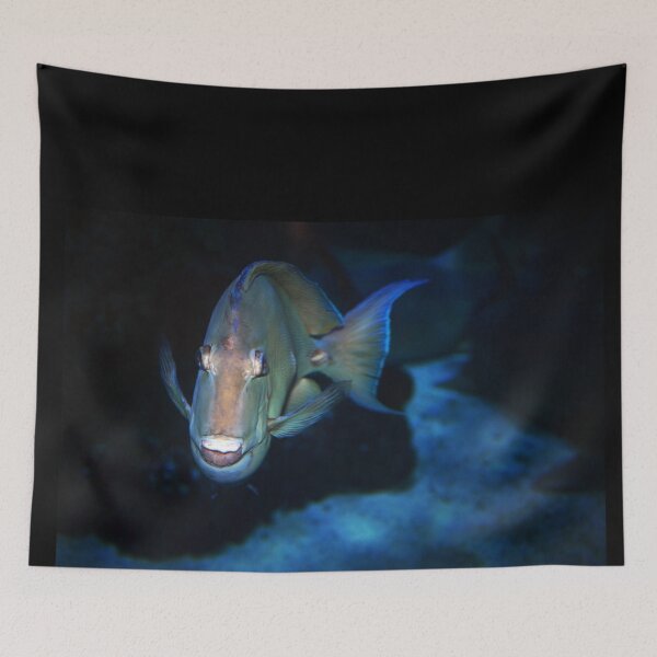 Item preview, Fish Face designed and sold by Savannah Gibbs.