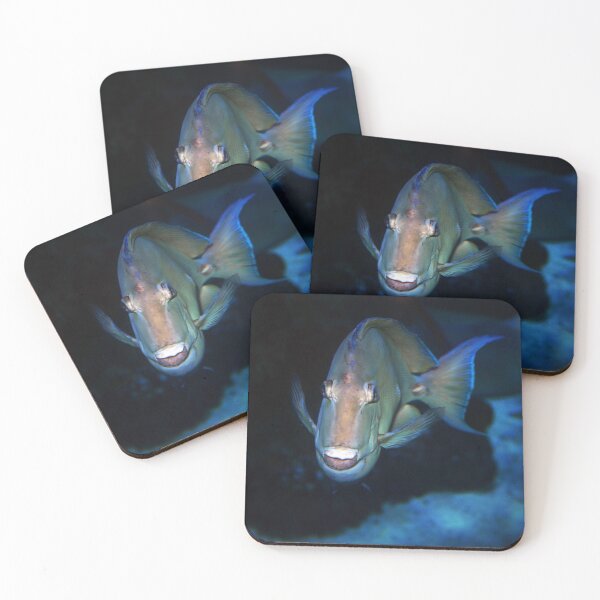 Item preview, Fish Face designed and sold by Savannah Gibbs.