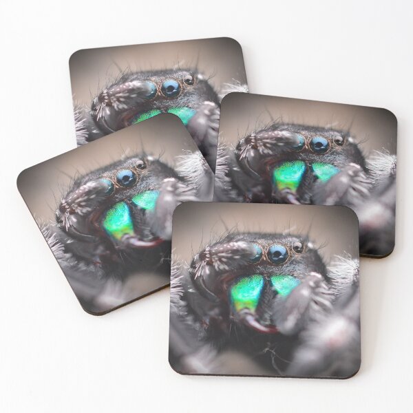 Item preview, Handsome Jumping Spider male (Phidippus regius) designed and sold by SharpSpoods.