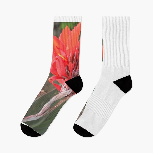 Item preview, Cana Lily designed and sold by matthewsimon1.