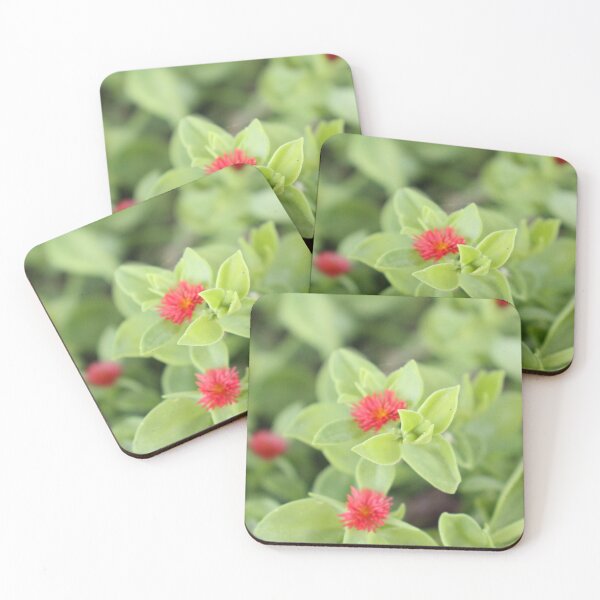 Item preview, Ice plant  designed and sold by matthewsimon1.