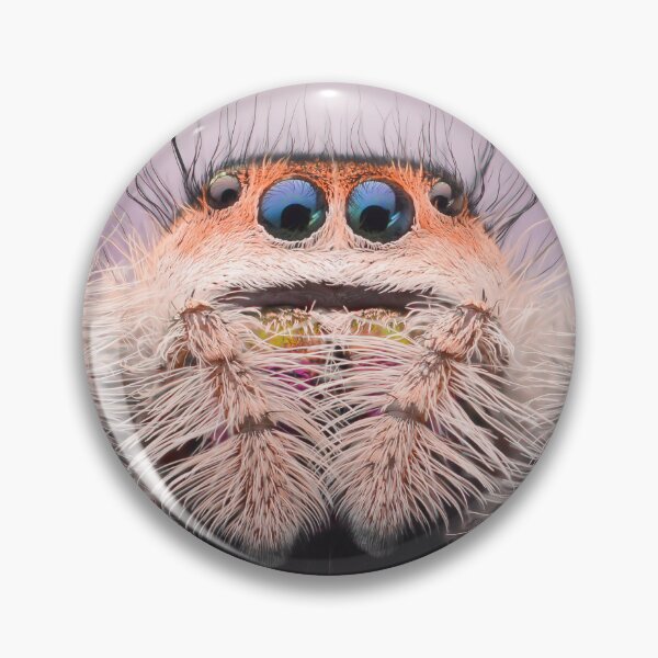 Item preview, Sweet Jumping spider (Phidippus regius) designed and sold by SharpSpoods.