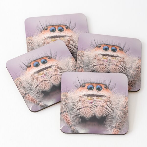 Item preview, Sweet Jumping spider (Phidippus regius) designed and sold by SharpSpoods.